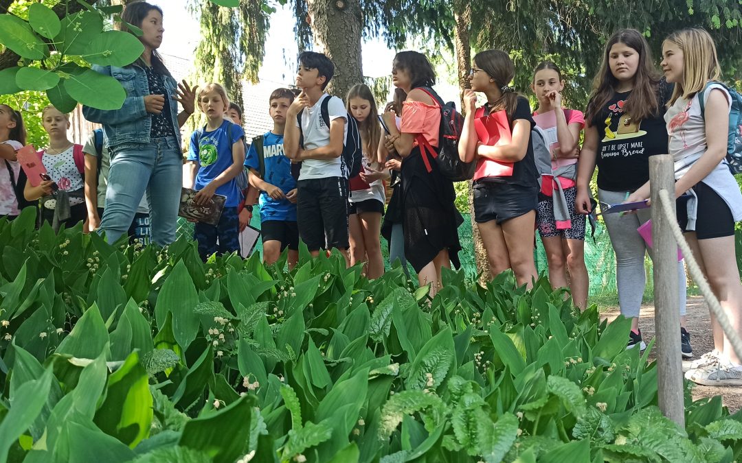 Šestošolci na obisku v Botaničnem vrtu v Ljubljani