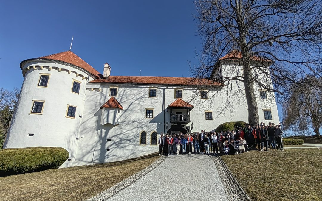 Kulturni dan, 9. r, Grad Bogenšperk