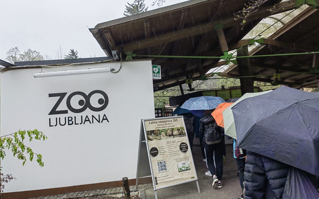 ND ZOO Ljubljana, 7. razred