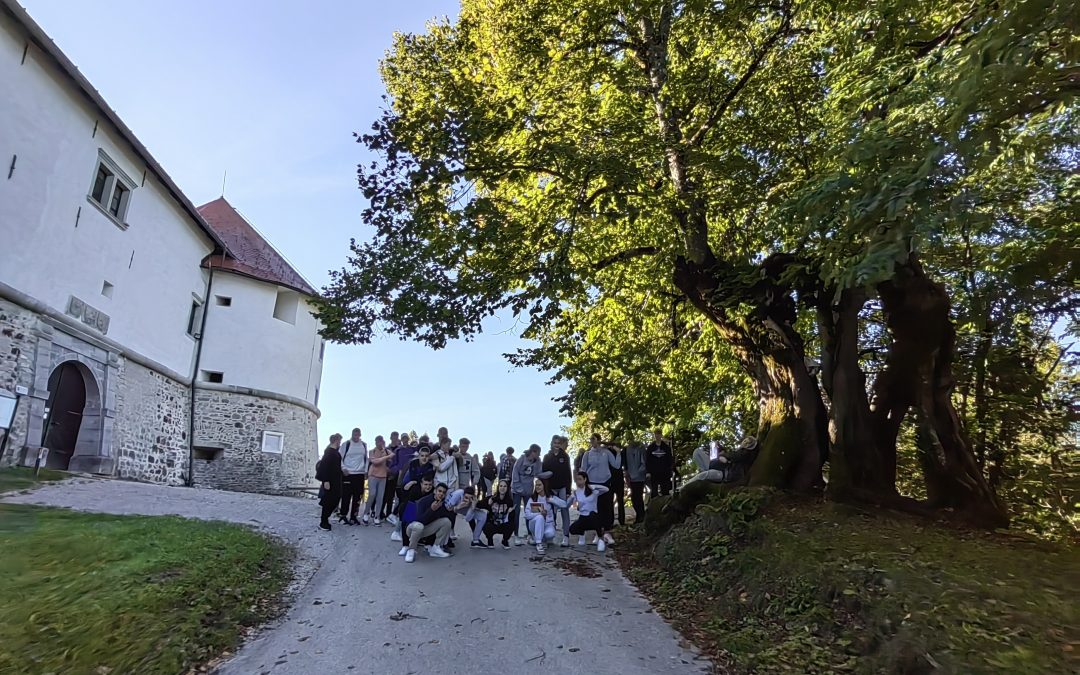 Popotovanje k zibelki slovenske knjige