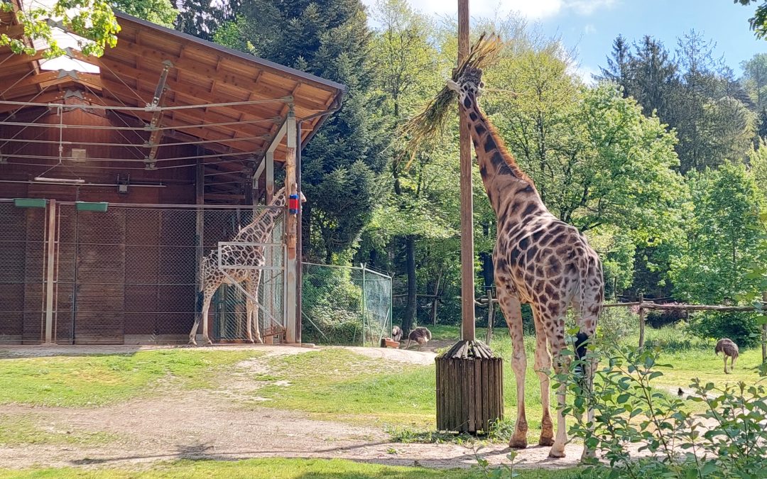 Sedmošolci obiskali ZOO Ljubljana