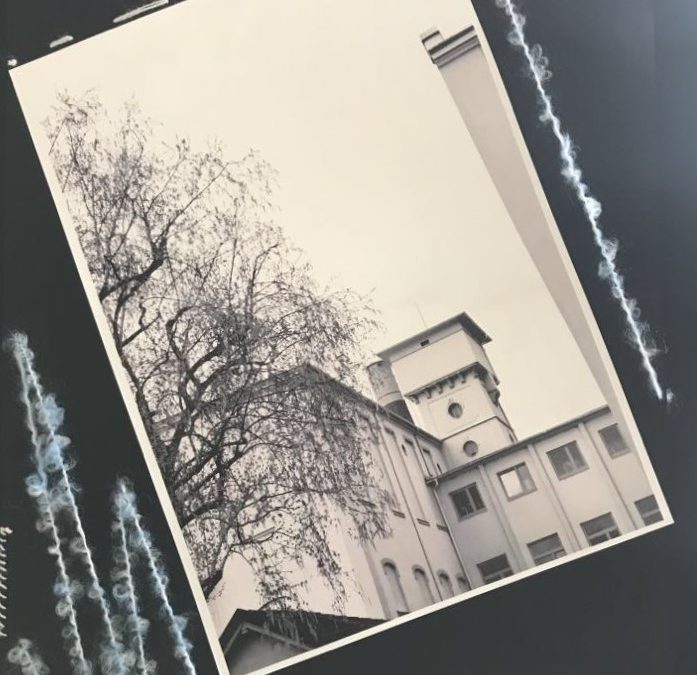 Razstava “NITKE” čez poletje v Predilnici Litia