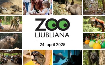 Sedmošolci na obisku v živalskem vrtu
