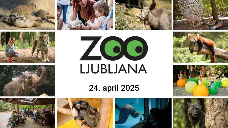Sedmošolci na obisku v živalskem vrtu